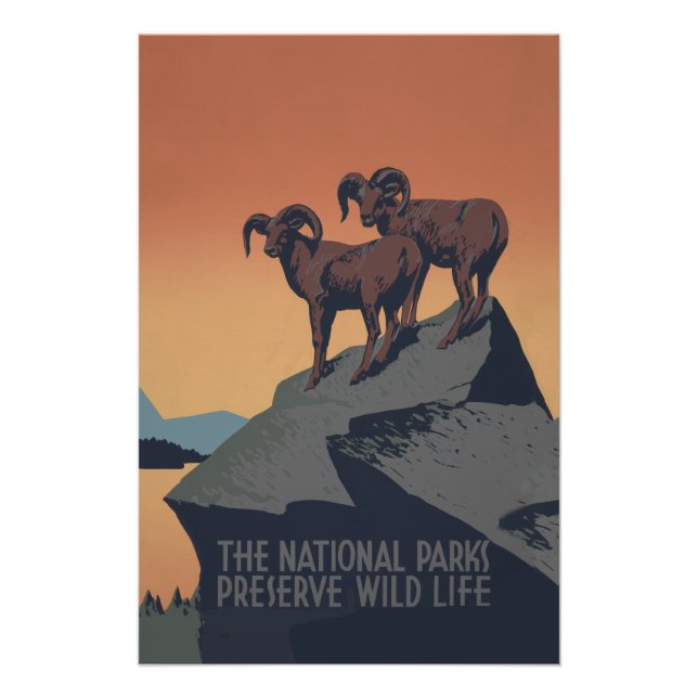 Poster Bighorn Sheep American West Wildlife (Devant)
