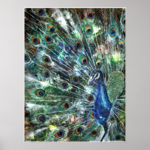 Poster bijoux PMACarlson