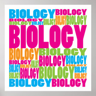 Poster Biologie colorée