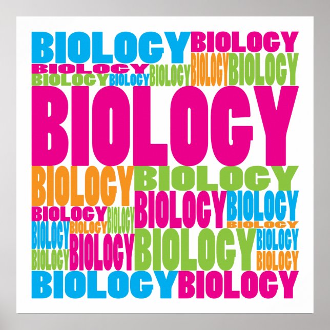 Poster Biologie colorée (Devant)