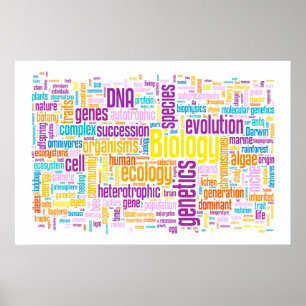Poster Biologie No. 10 Sunrise