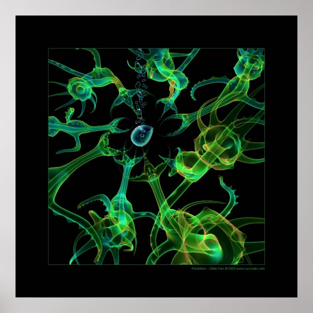 Poster Biologie : prédation (Devant)