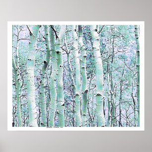 Poster Birch d'hiver