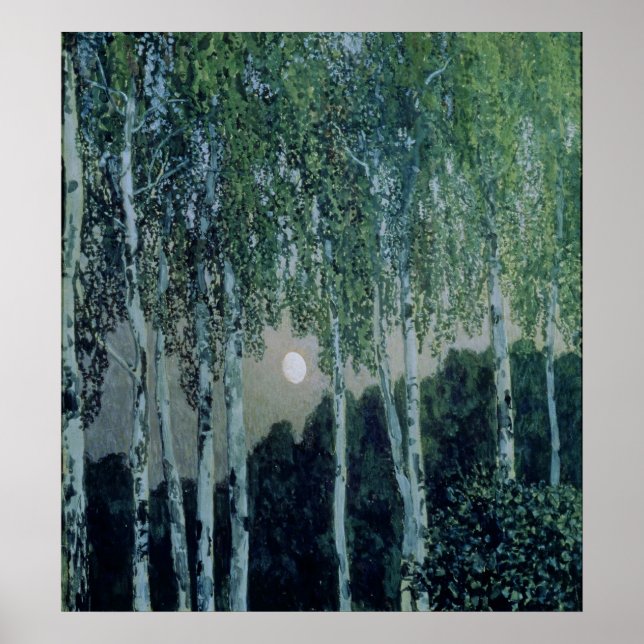 Poster Birch Trees (Devant)