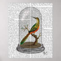 Bird In Bell Jar