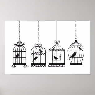 Poster Birdcages vintages avec oiseaux mignons