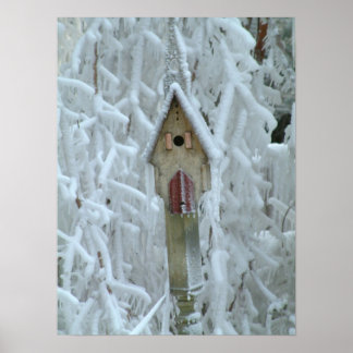 Poster Birdhouse dans un arbre incrusté de glace