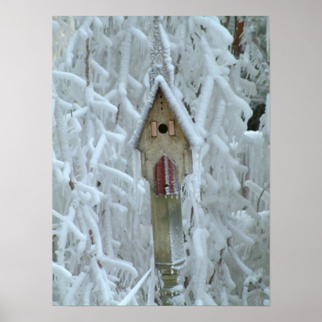 Poster Birdhouse dans un arbre incrusté de glace (Devant)