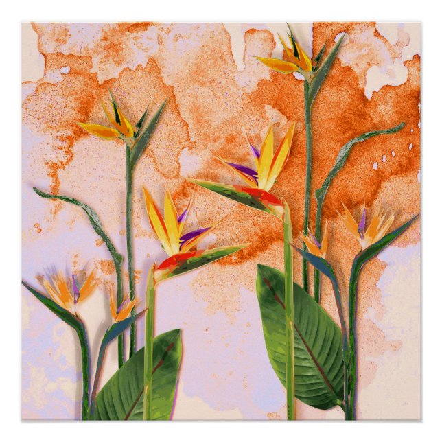 Poster Birds of Paradise in Bloom (Devant)