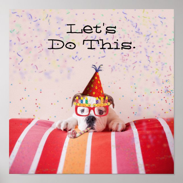 Poster Birthday Dog (Devant)