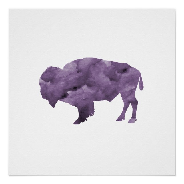Poster Bison (Devant)
