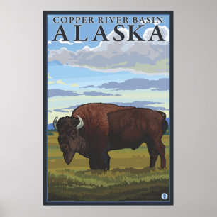 Poster Bison - Bassin de la rivière du cuivre, Alaska