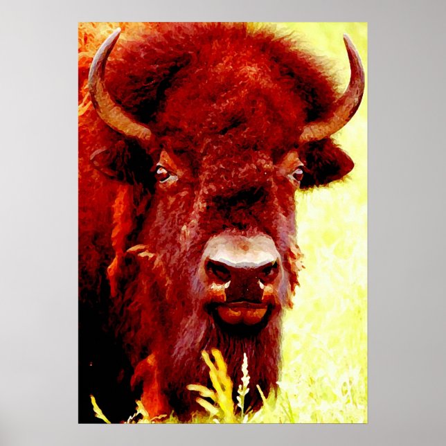 Poster Bison Buffalo Head American Arwork (Devant)