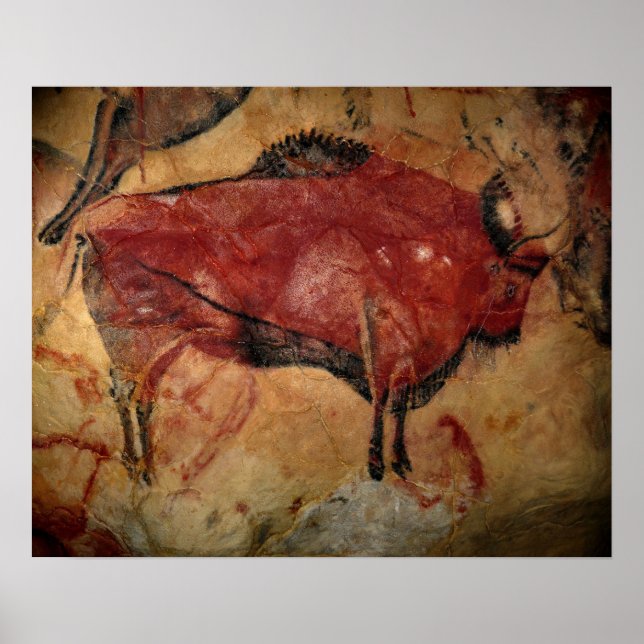 Poster Bison féminin à Altamira (Devant)
