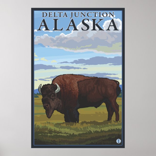 Poster Bison Scene - Delta Junction, Alaska (Devant)