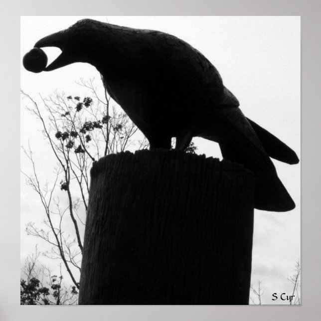 Poster Bite de Raven, S Cyr (Devant)