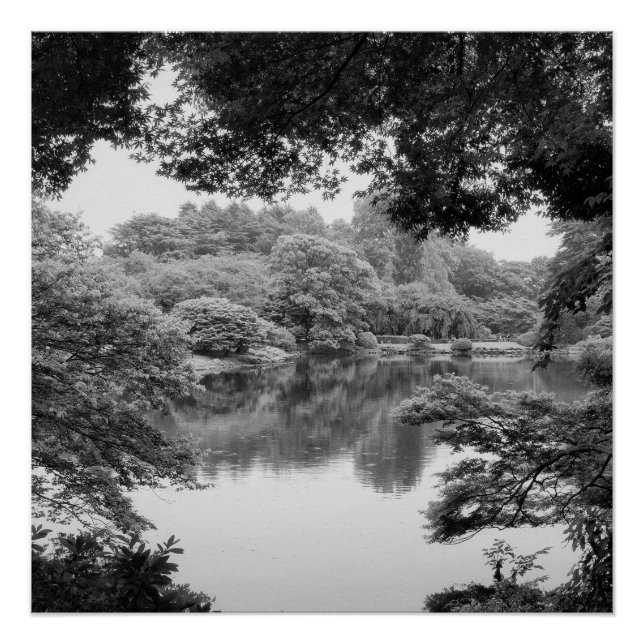 Poster Black and white, cool, unique nature et lake (Devant)