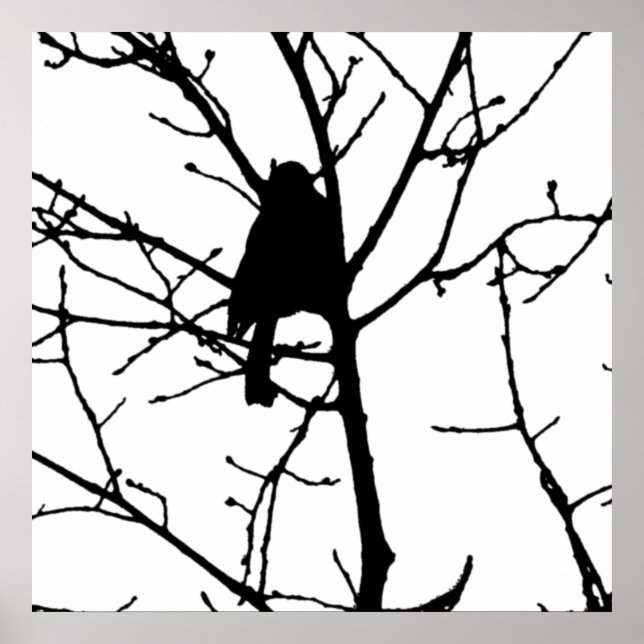Poster Black and White Silhouette of chickadee in a tree (Devant)