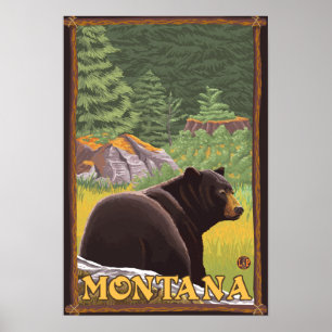 Poster Black Bear in Forest - Montana