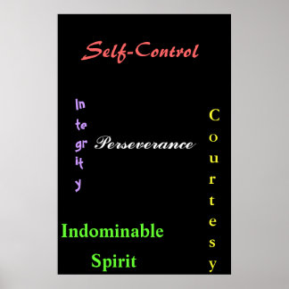 Poster Black Belt Tenents