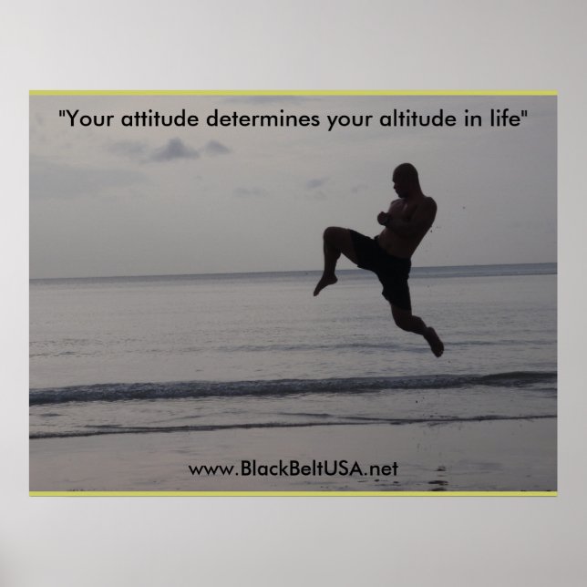 Poster Black Belt USA Poster1 (Devant)