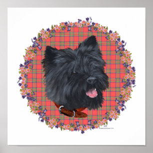 Poster Black Cairn Head Study