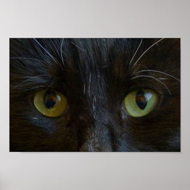 Poster : Black Cat Eyes (Devant)