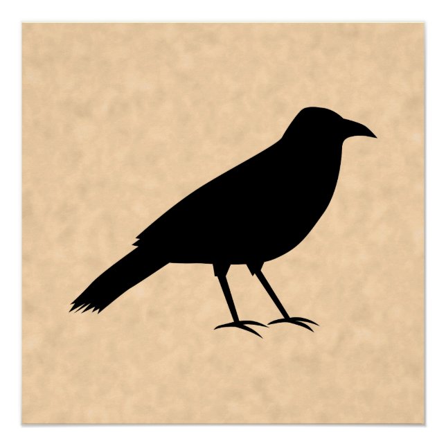 Poster Black Crow Bird sur un Motif de parchemin. (Devant)