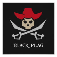Black Flag Pirate Skull