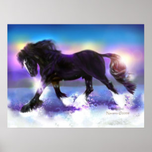 Poster Black Foot Shire