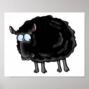 Poster Black sheep