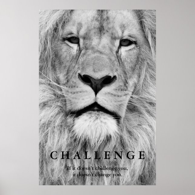 Poster Black White Lion Eyes Challenge Inspiration (Devant)
