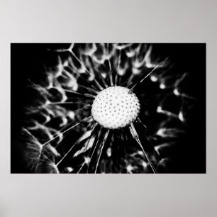 Poster blacq