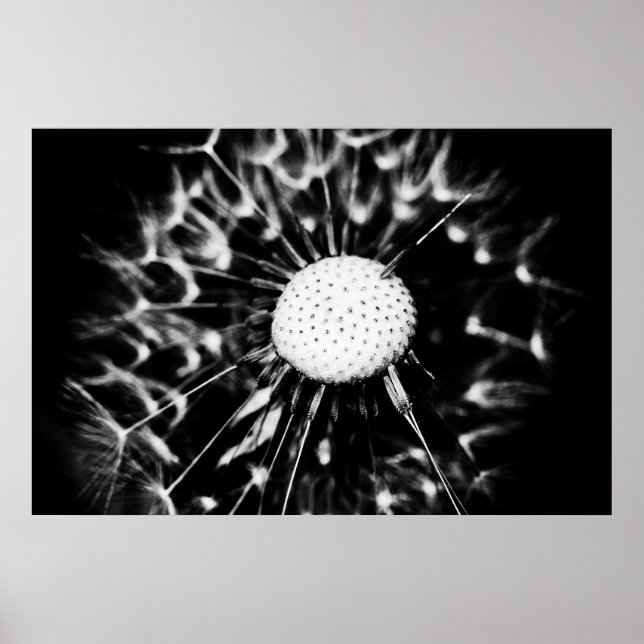 Poster blacq (Devant)