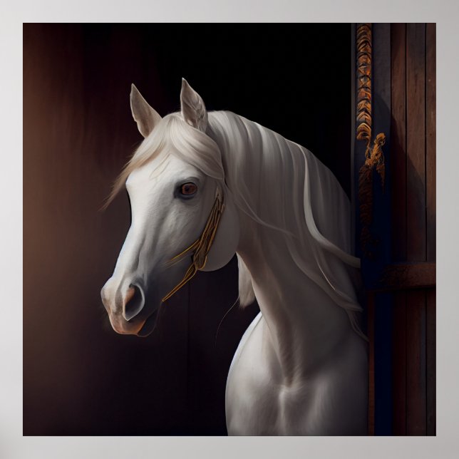 Poster blanc (Devant)