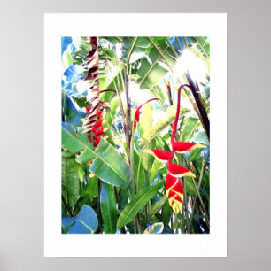 Poster blanc (18" x 24") Les fleurs rouges Bali