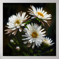 Poster blanc Aster Flower Art