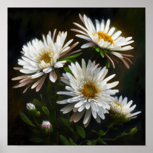 Poster blanc Aster Flower Art