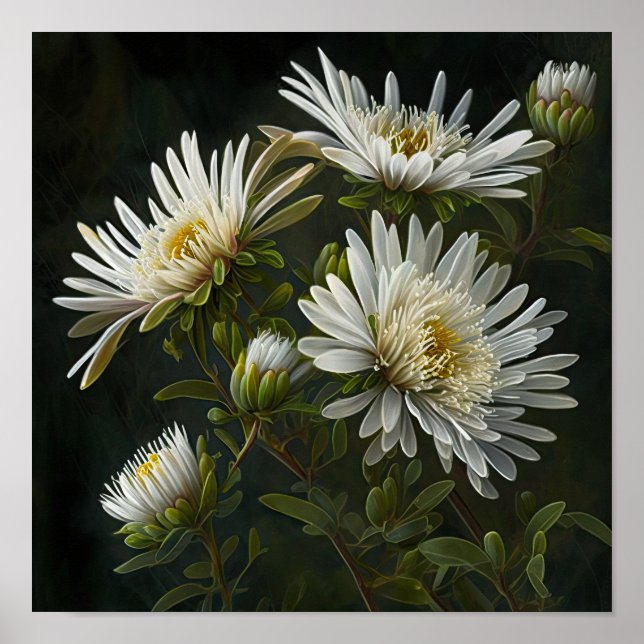 Poster blanc Aster Flower Art (Devant)