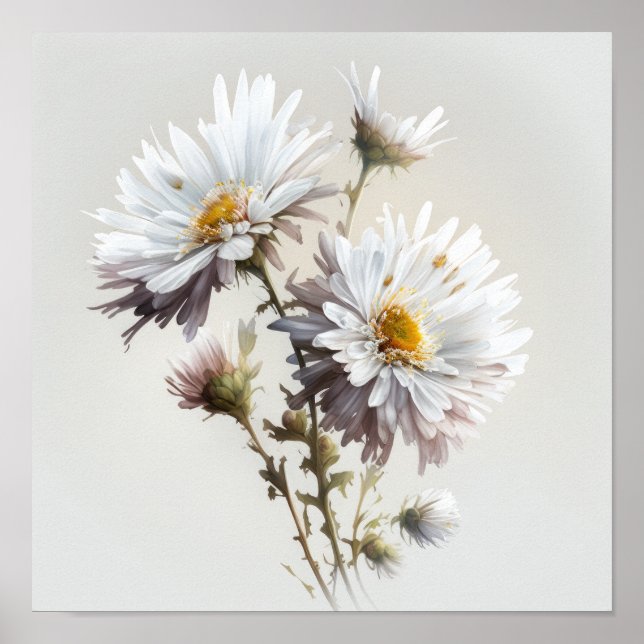 Poster blanc Aster Flower Art (Devant)