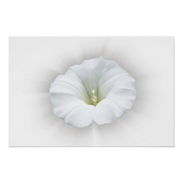 Poster blanc et nuances de gris (Devant)