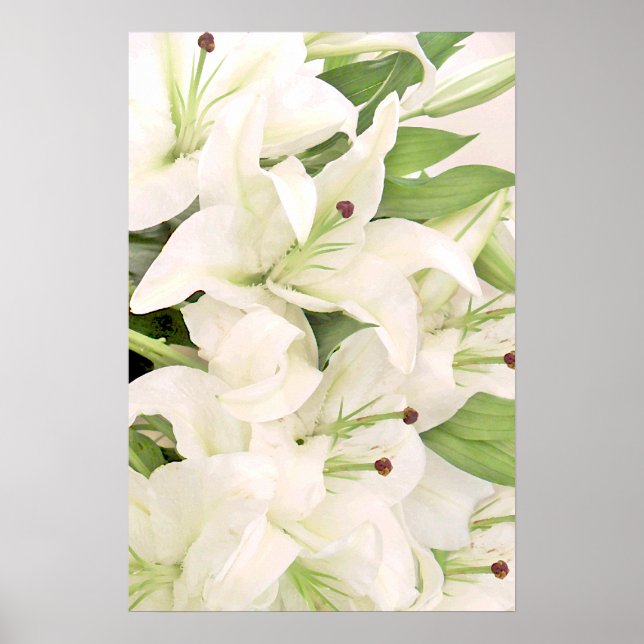 Poster blanc Lilies (Devant)