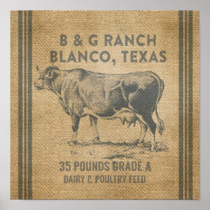 Poster Blanco Texas