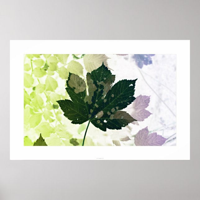 Poster Blatt (Devant)