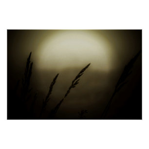 Poster Blé au coucher du soleil