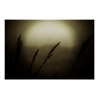 Poster Blé au coucher du soleil