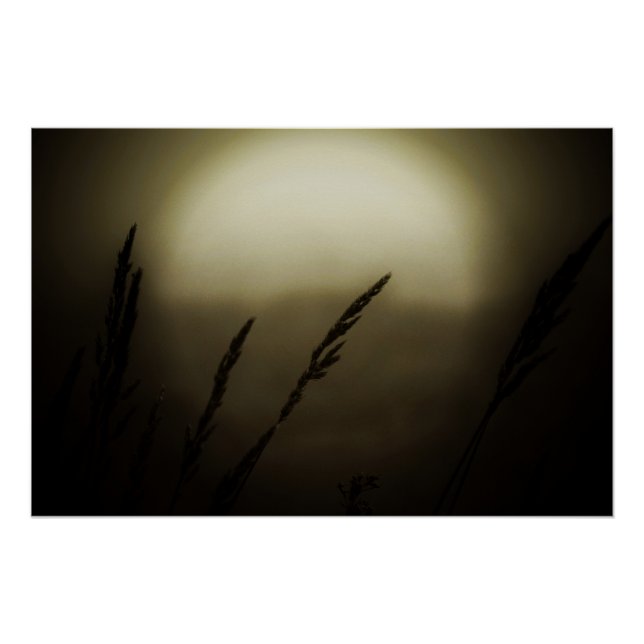 Poster Blé au coucher du soleil (Devant)
