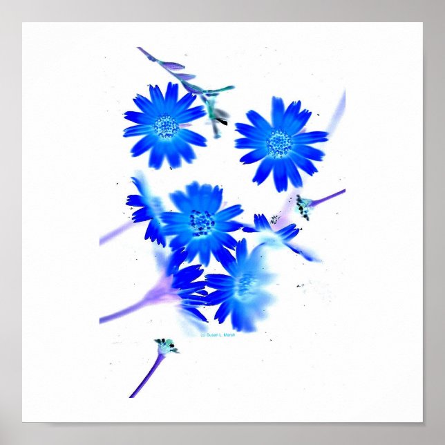 Poster Bleu coloré fleurs sauvages design dispersé (Devant)