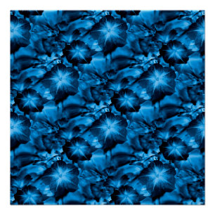 Poster Bleu Noir...