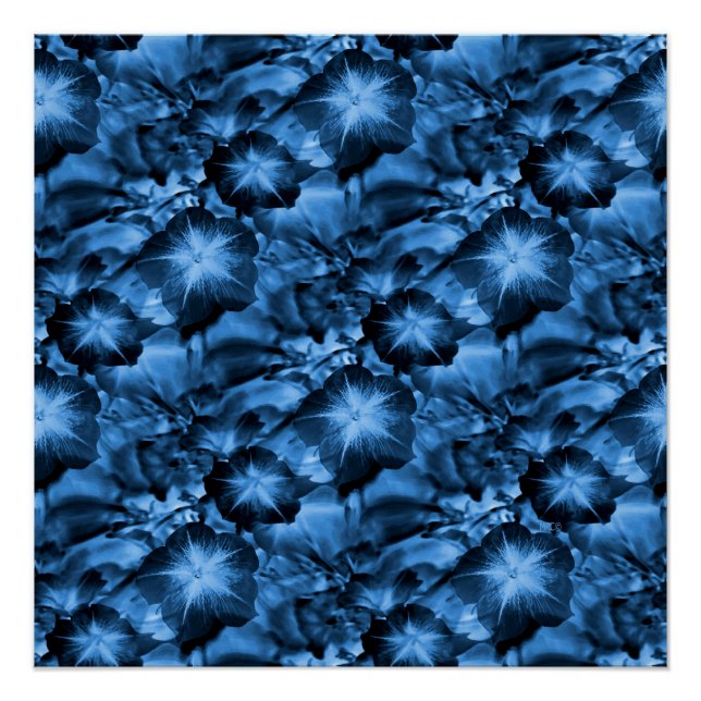 Poster Bleu soyeux... (Devant)